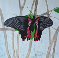 Schmetterling 90 cm x 90 cm